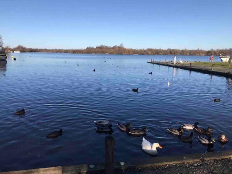 Cosy Pet Friendly Victorian Coachhouse Near Nature Walks On Norfolk Broads, With Fire Pit, Bbq & Alpacas Ranworth Exterior photo